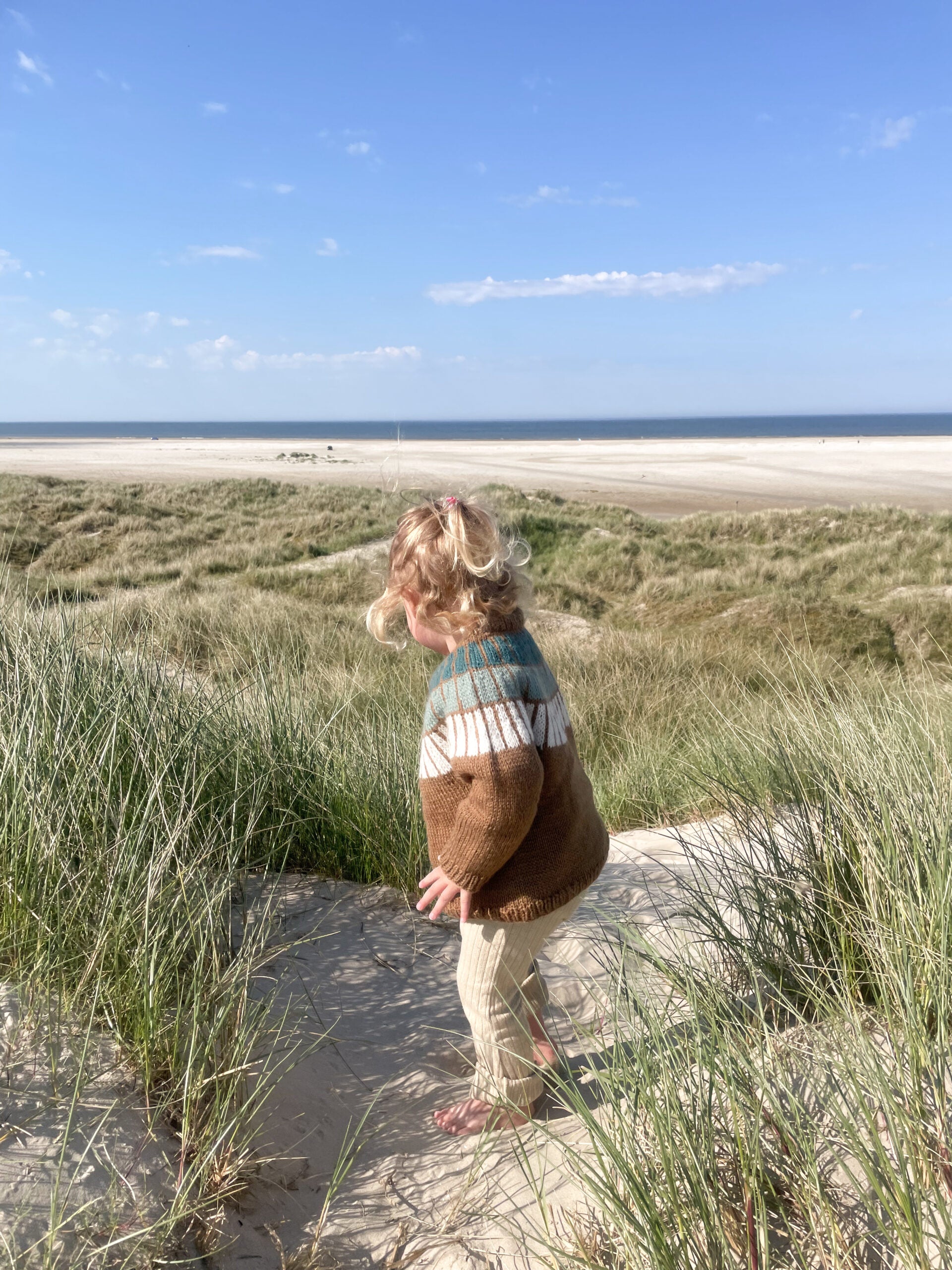 Fannik Sweater Strikkekit