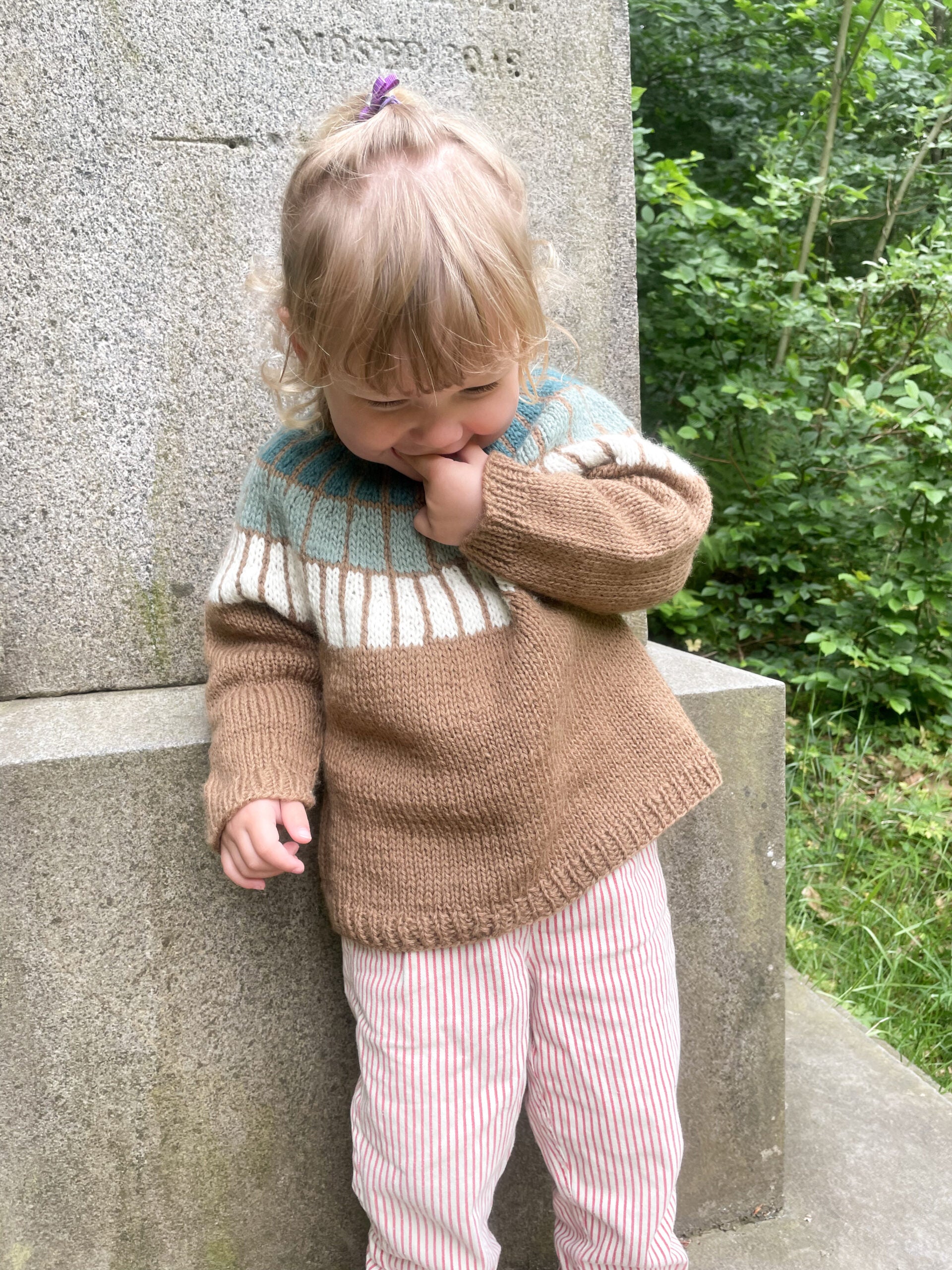 Fannik Sweater Strikkekit