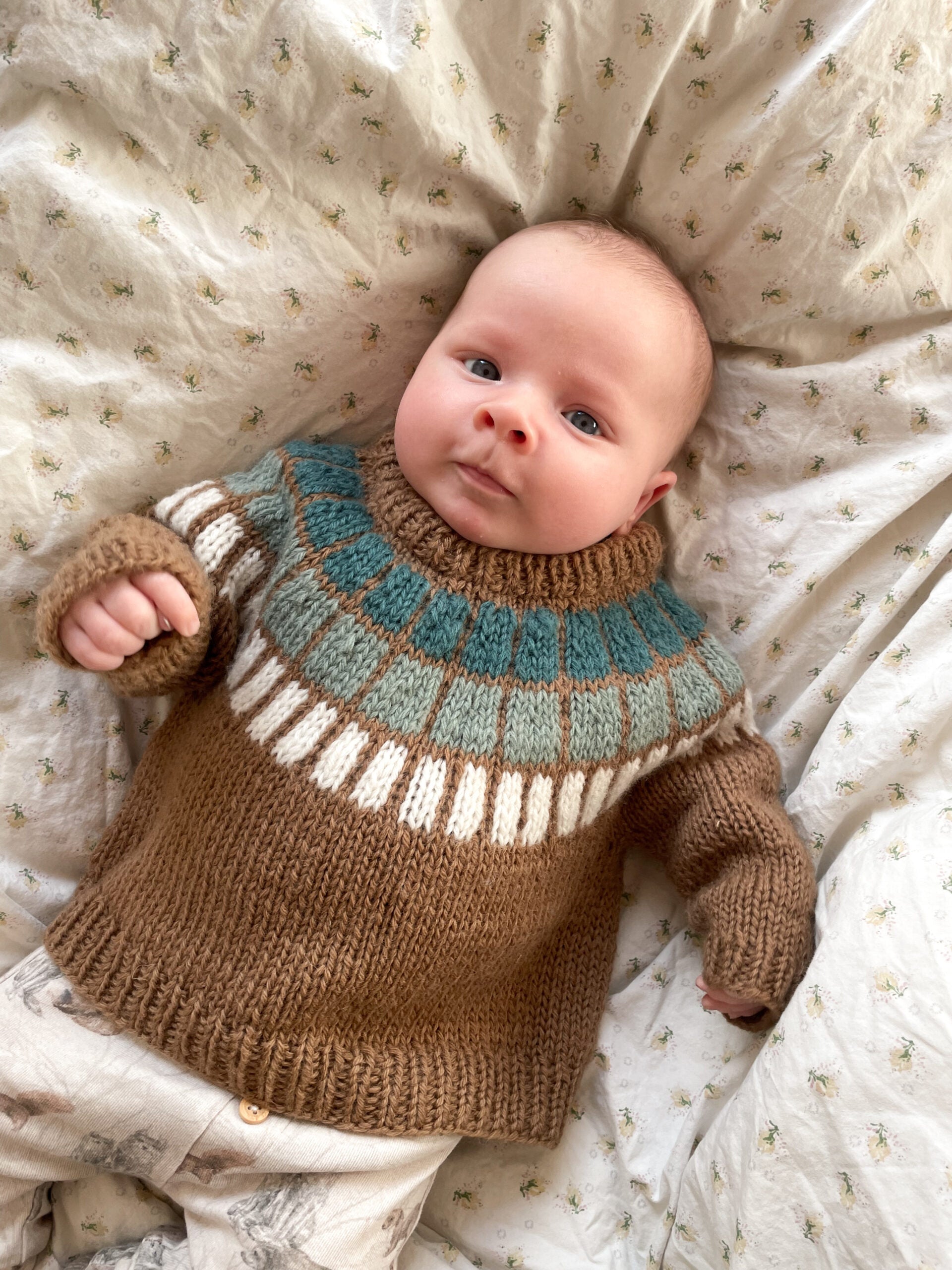 Fannik Sweater Strikkekit