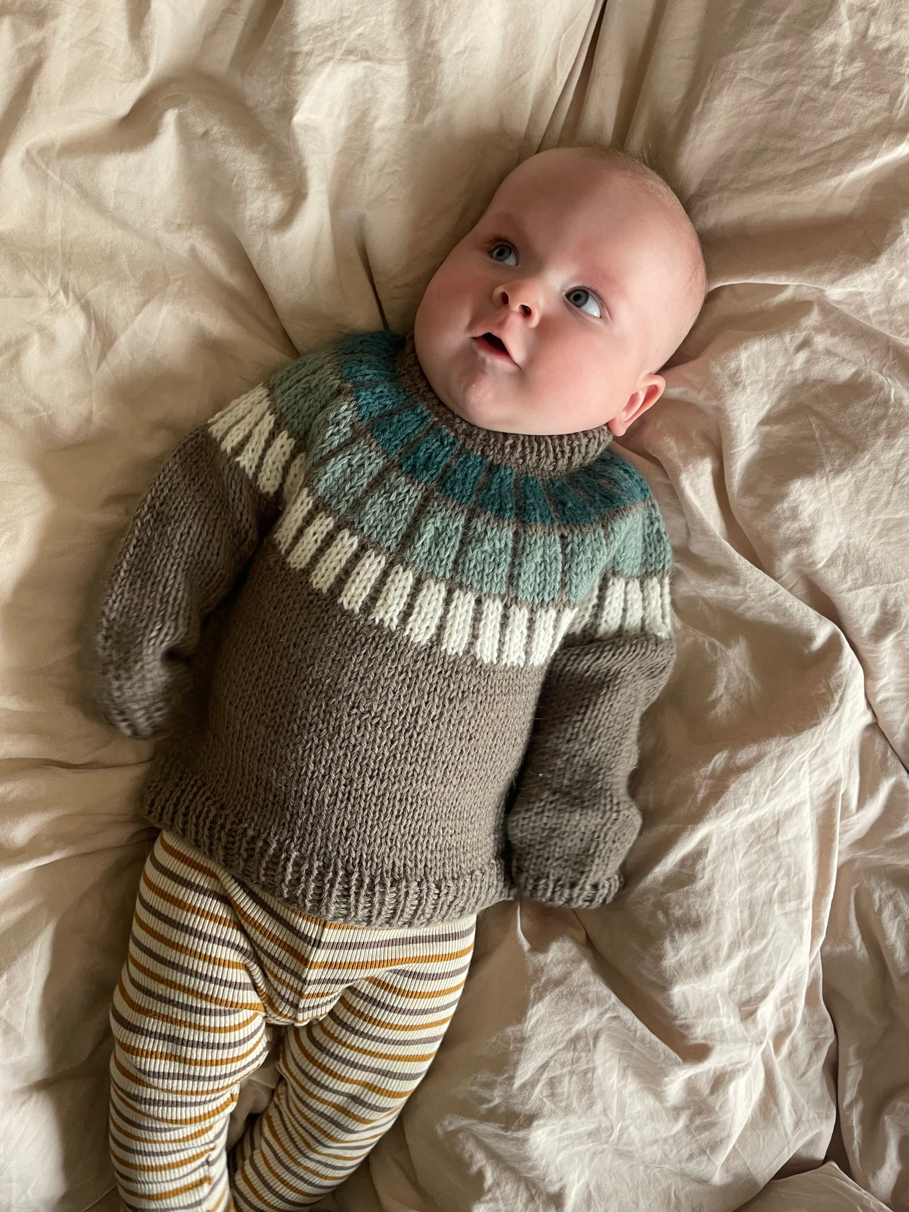 Fannik Sweater Strikkekit